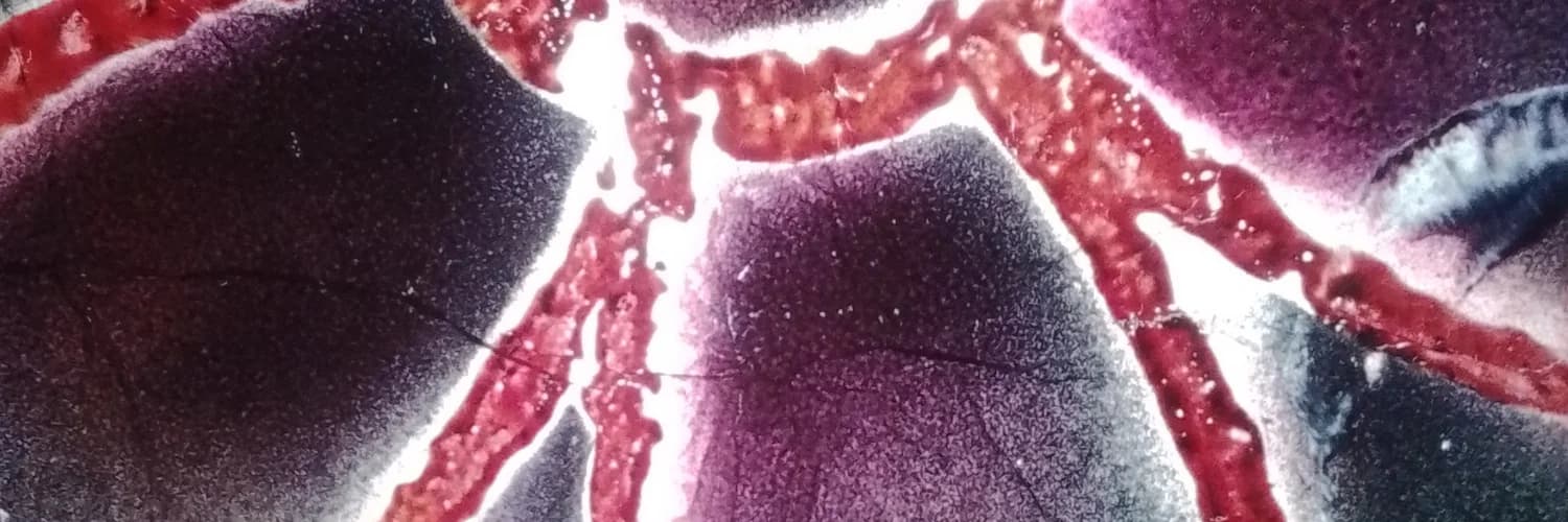 Profile banner
