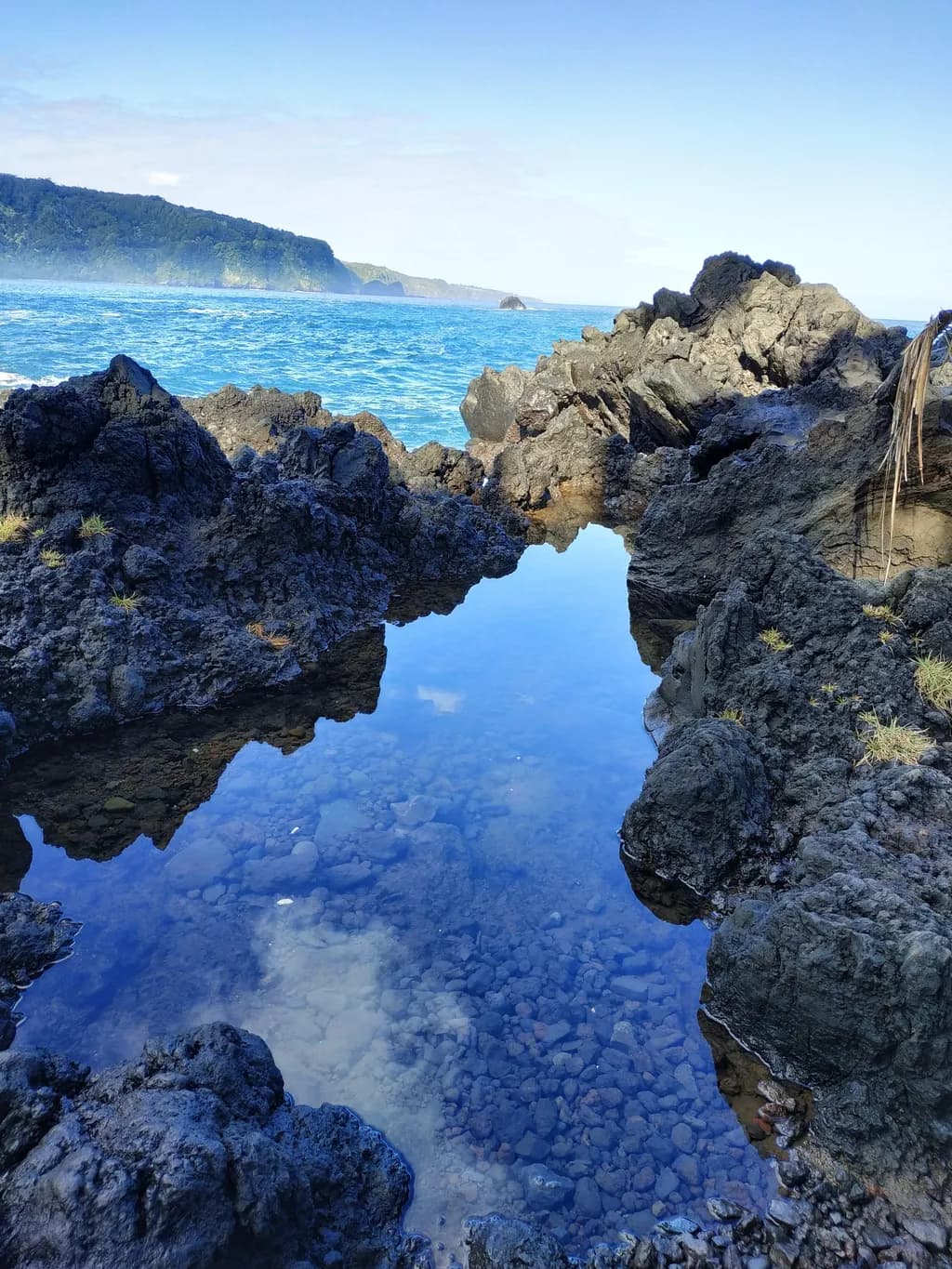 Blue Tide Pool