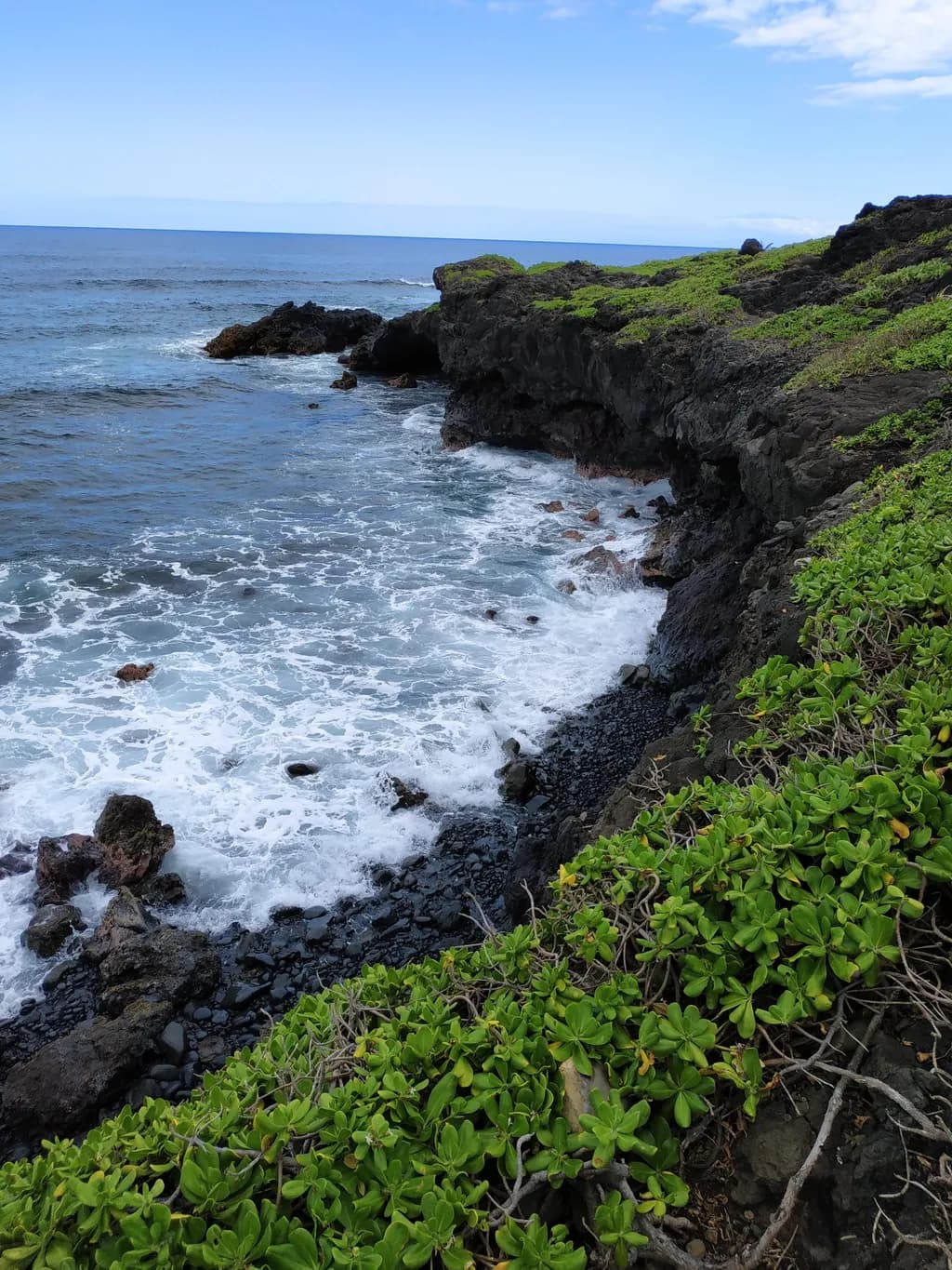 Green Rocky Coastline