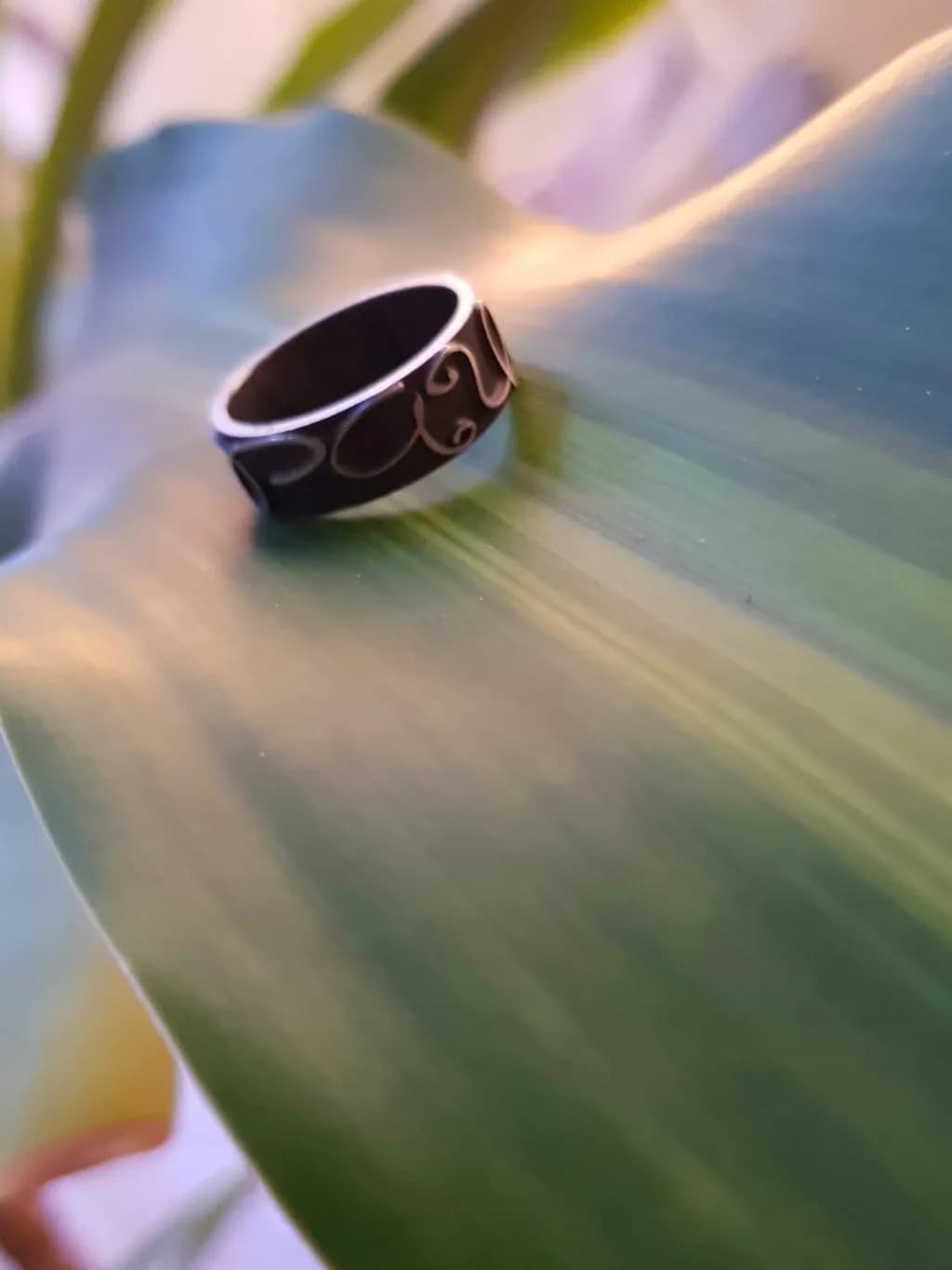 Ornate Ring on Succulent Leaf