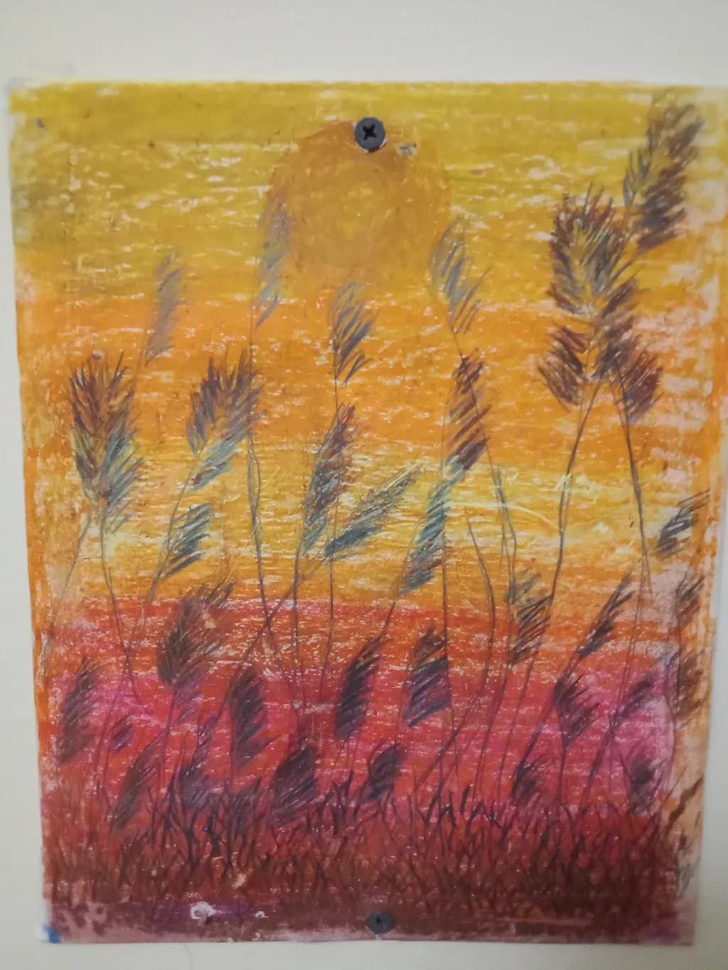 Reeds at Sunset