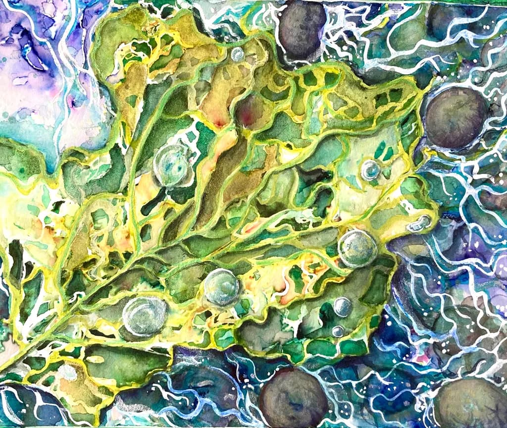Waterways