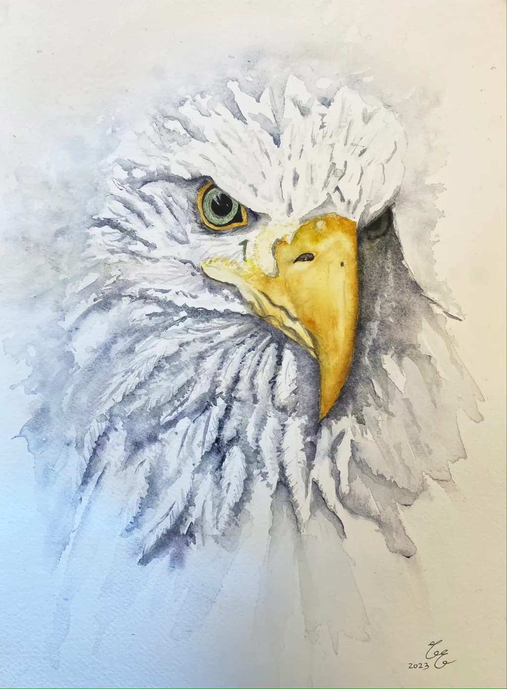 Eagle Eye