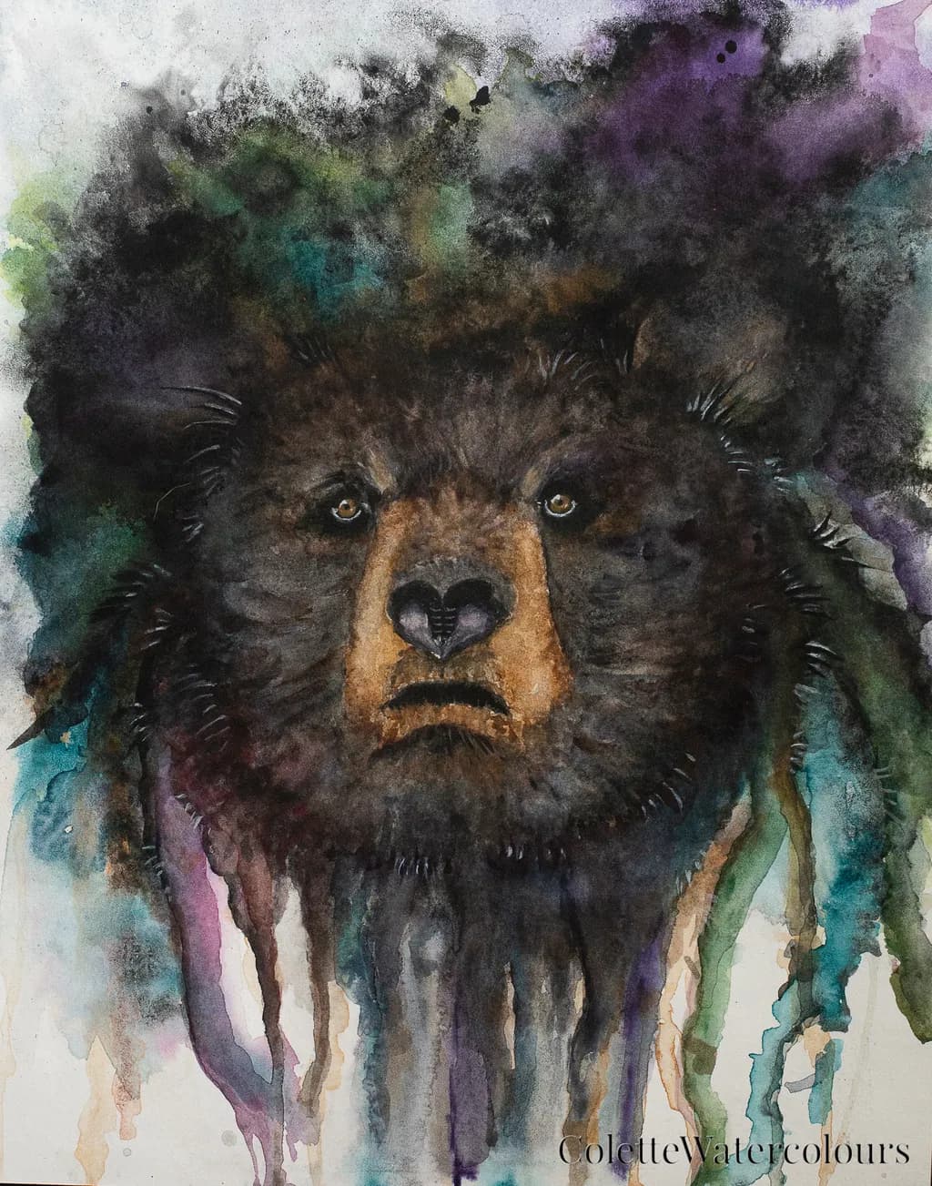 Black Bear
