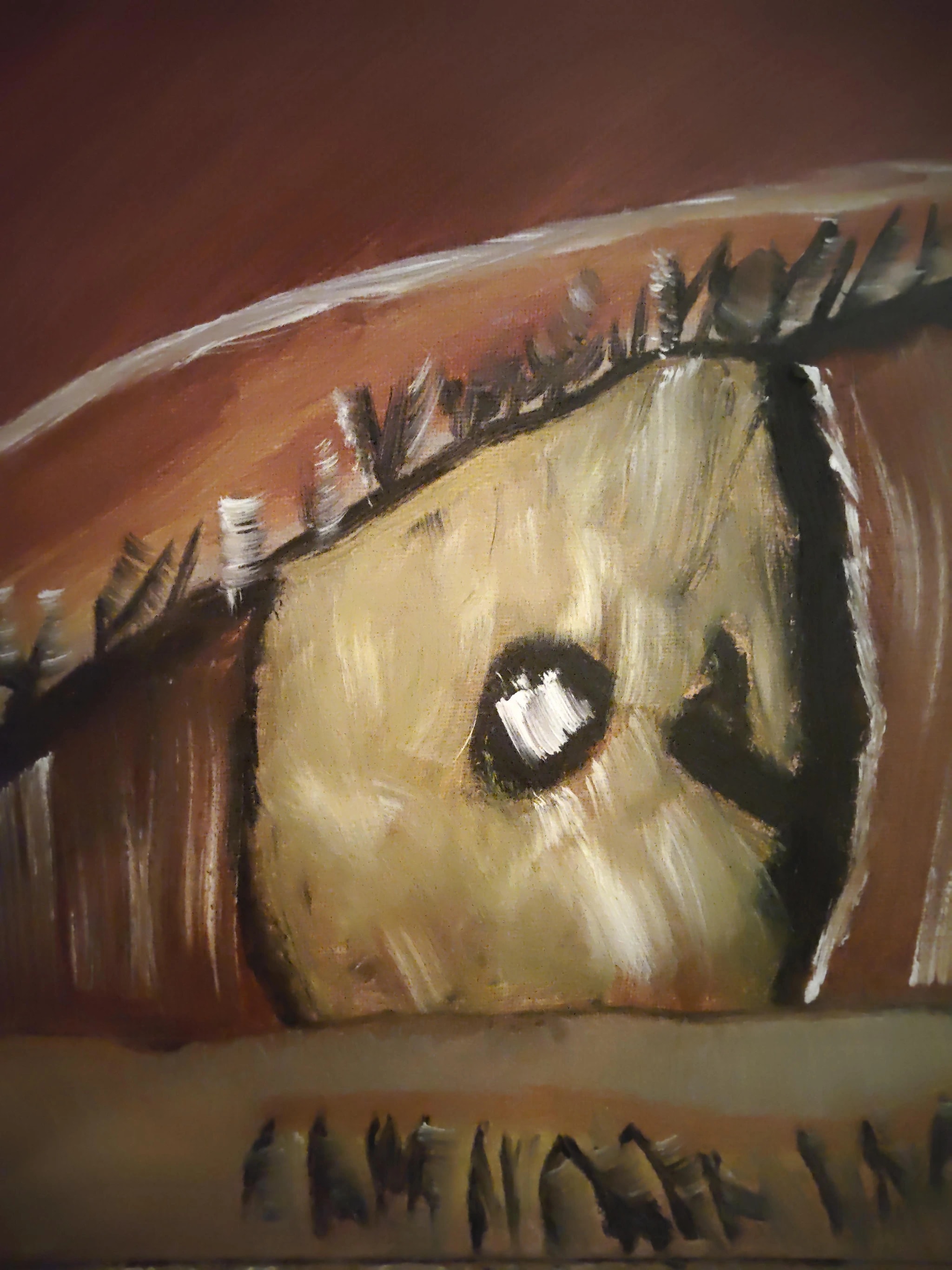 Study of a Horse Eye