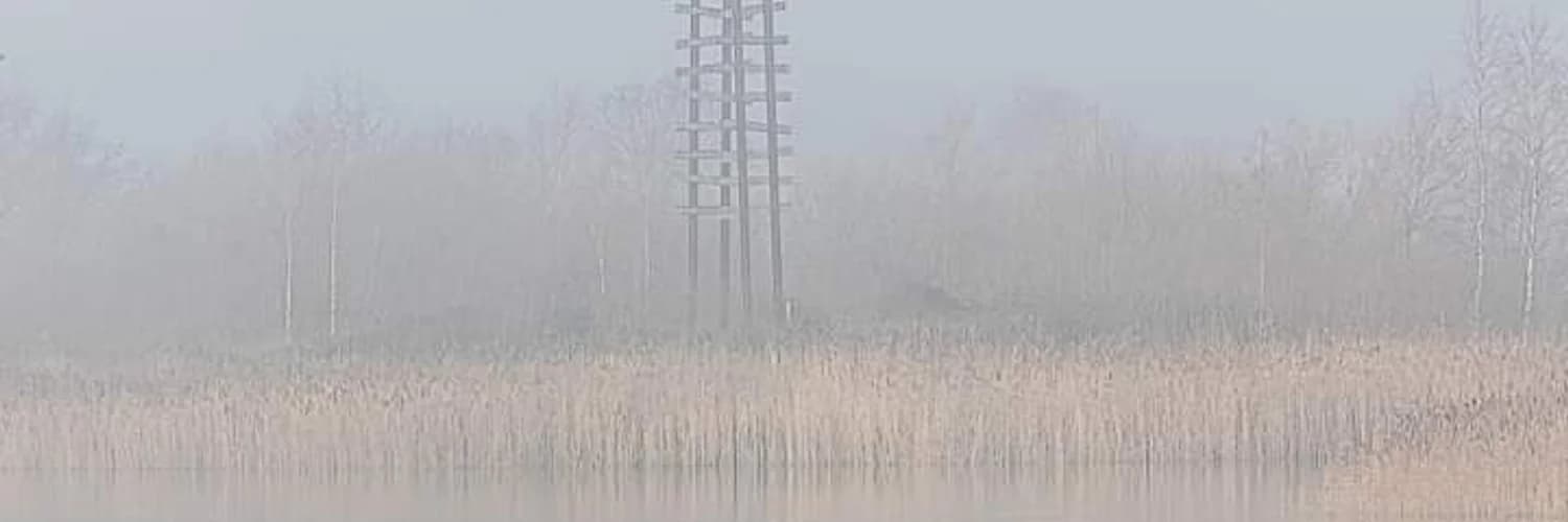 Profile banner