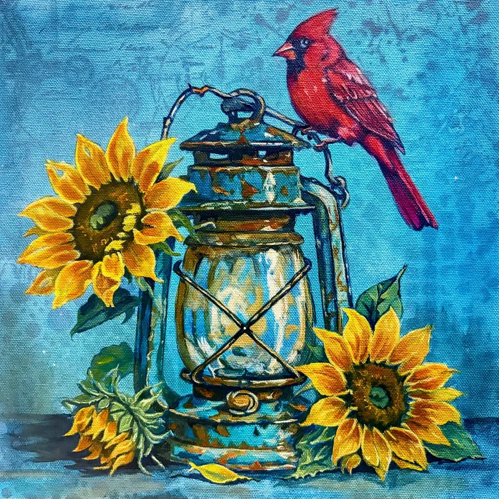 Shine and Soar