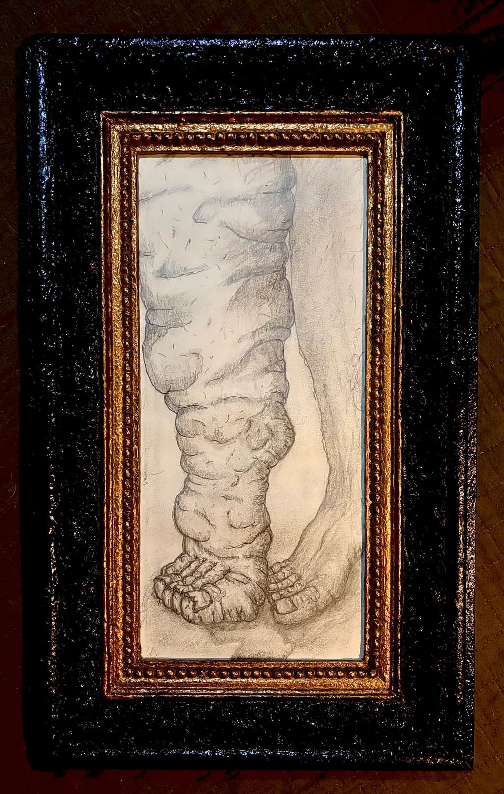 Leg and Foot Study