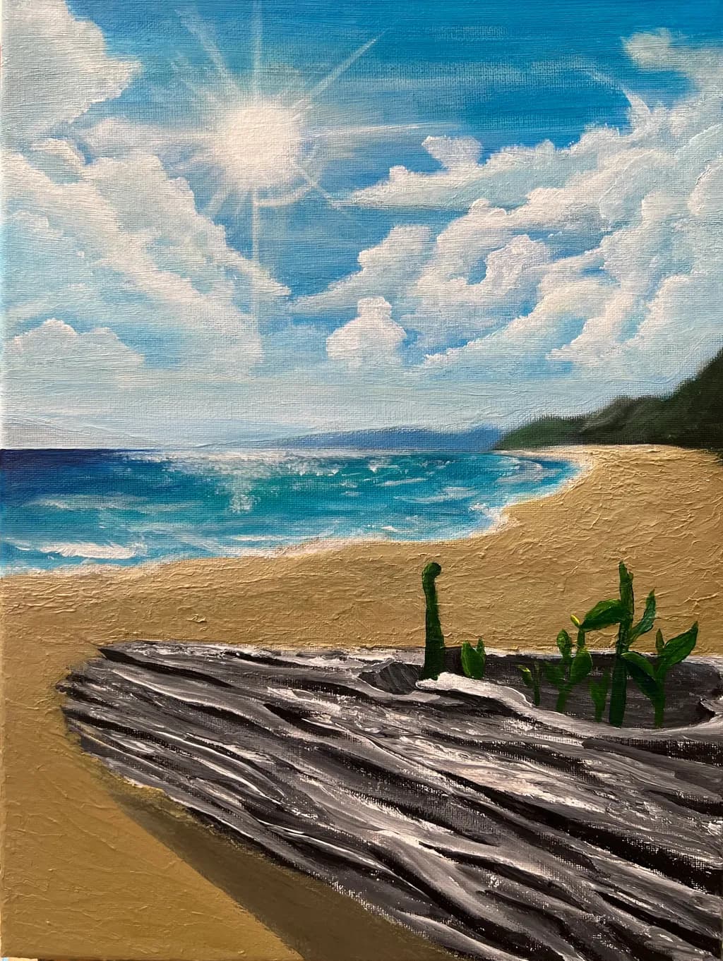 Driftwood Beach Light