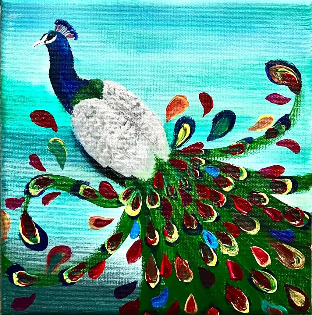Painted Peacock Display