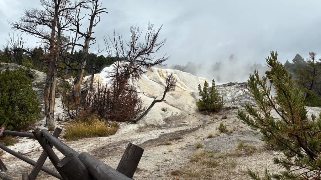 Steaming Travertine Springs
