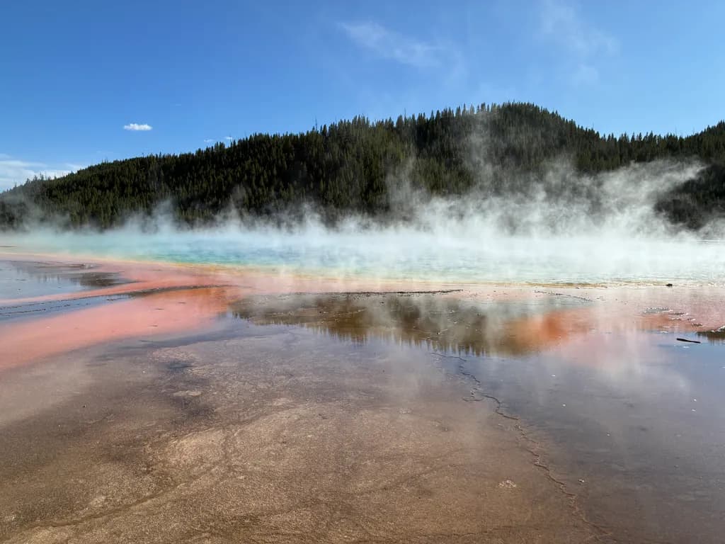 Prismatic Spring Steam