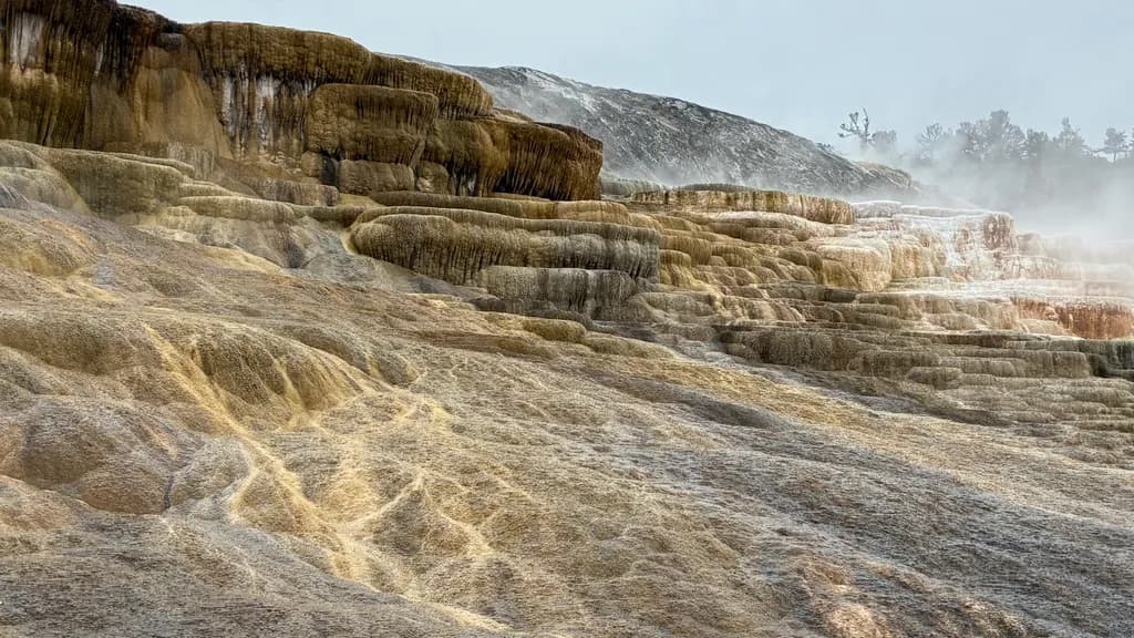 Steaming Mineral Terraces