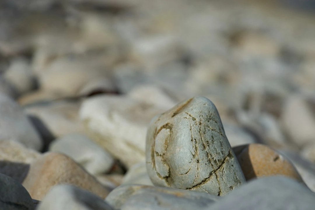 Weathered River Stone
