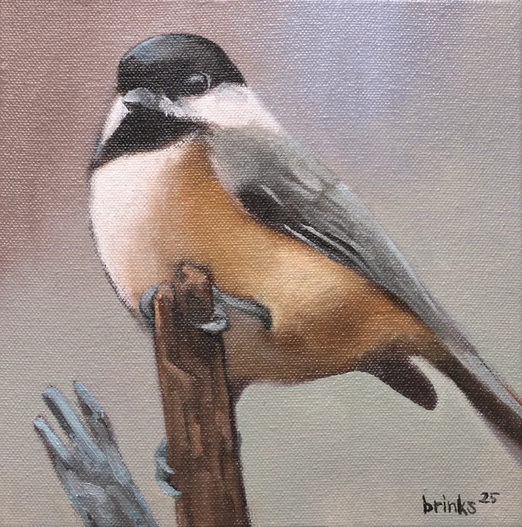 Perched Chickadee