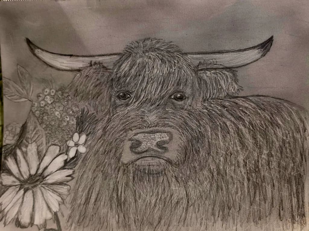 Highland Cow Wildflowers