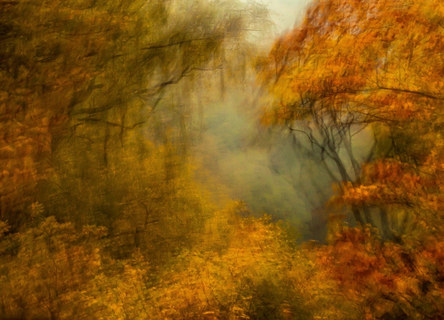 Autumn Breeze