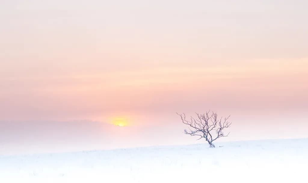 Midwinter Sunset