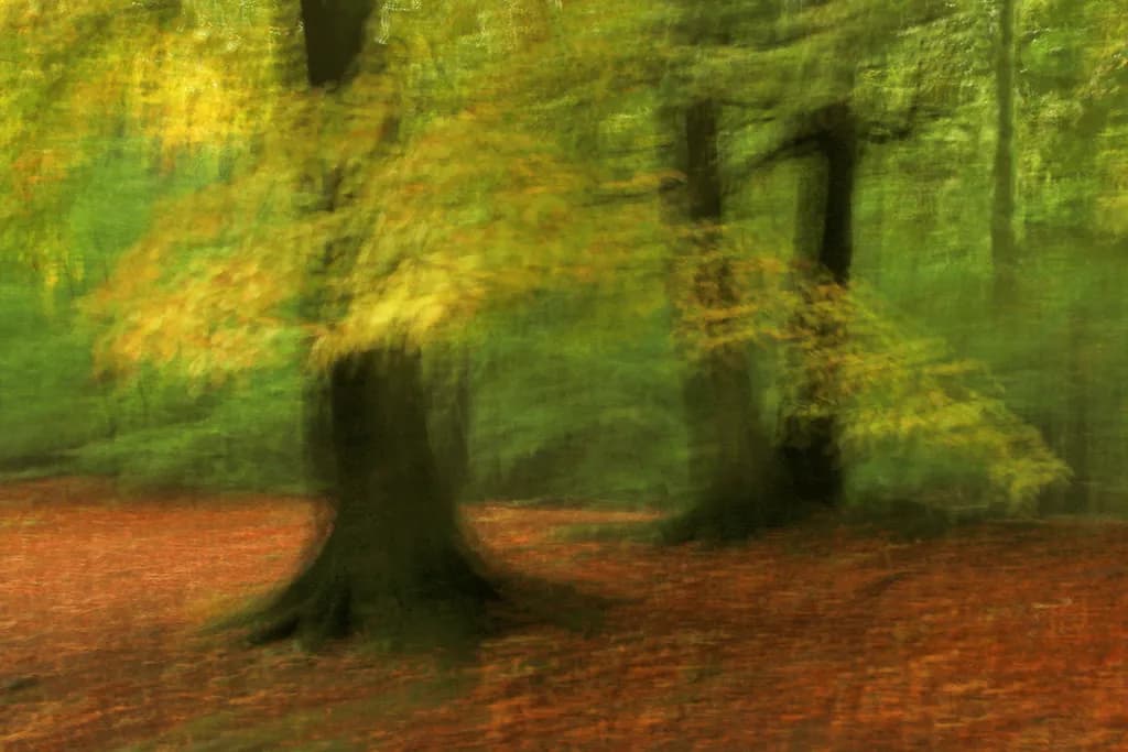 Autumn Coming Up