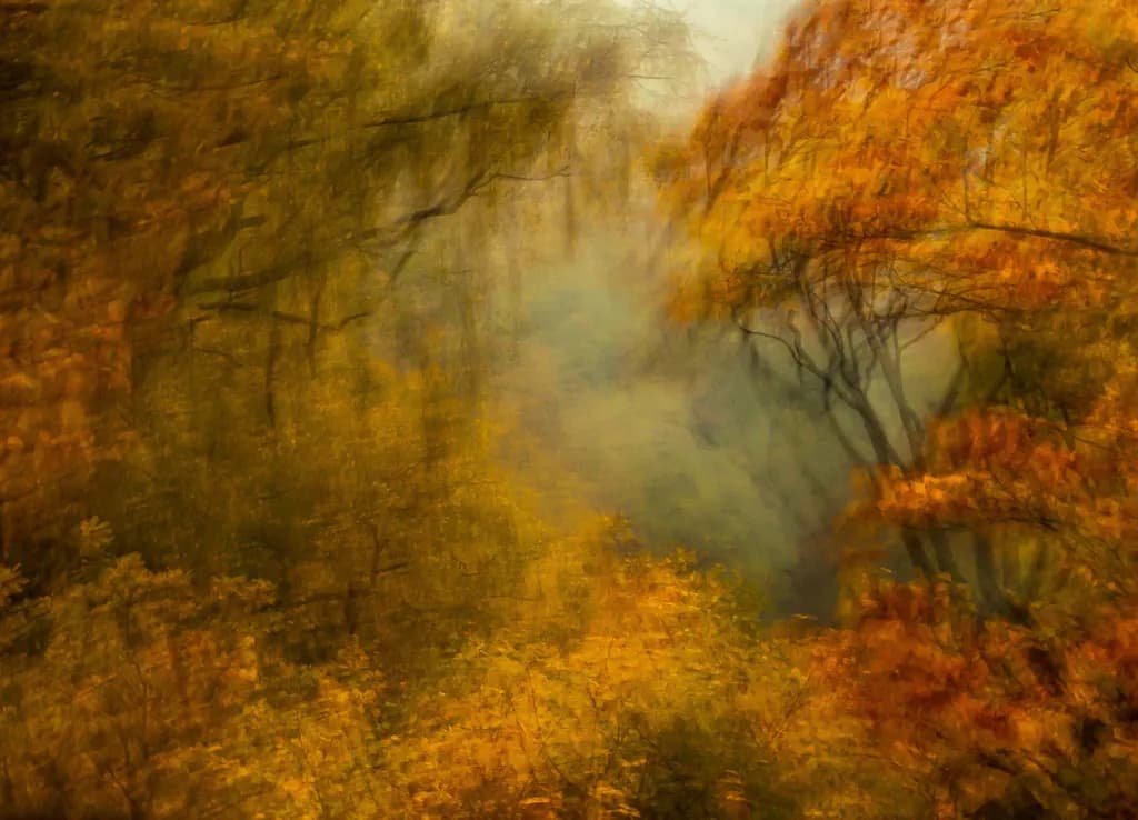 Autumn Breeze