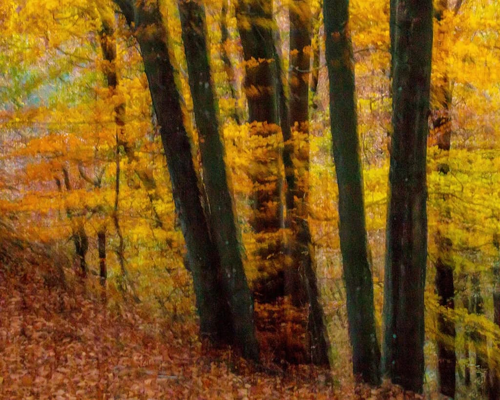 Expressive Autumn