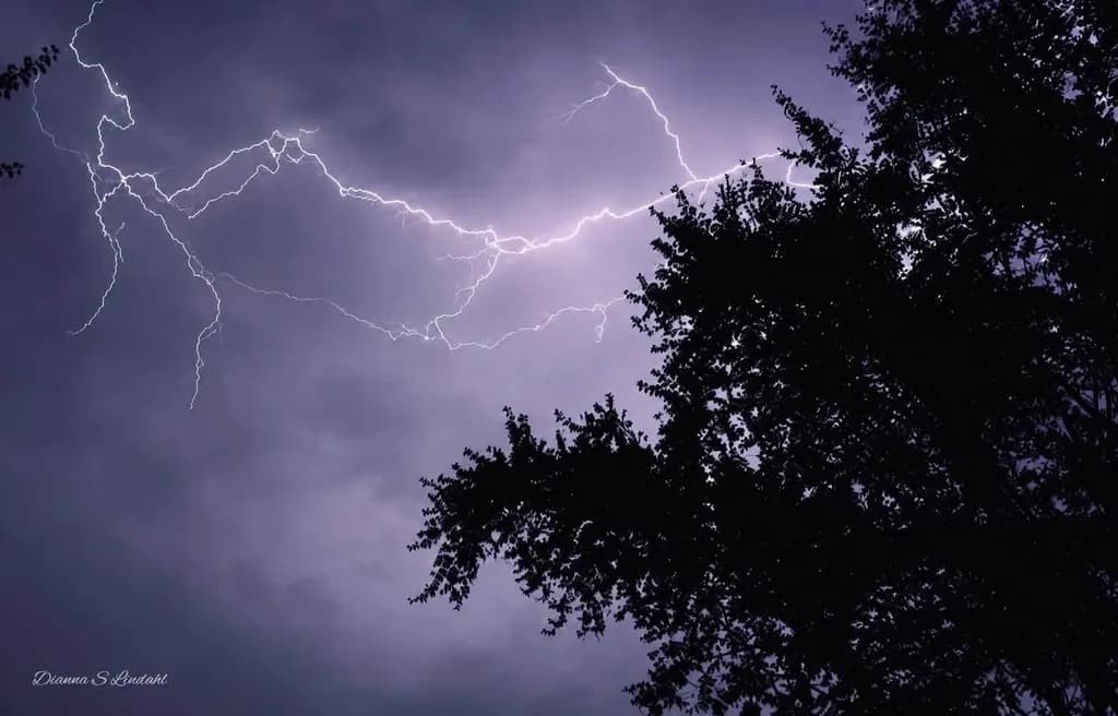 Lightning Through the Trees