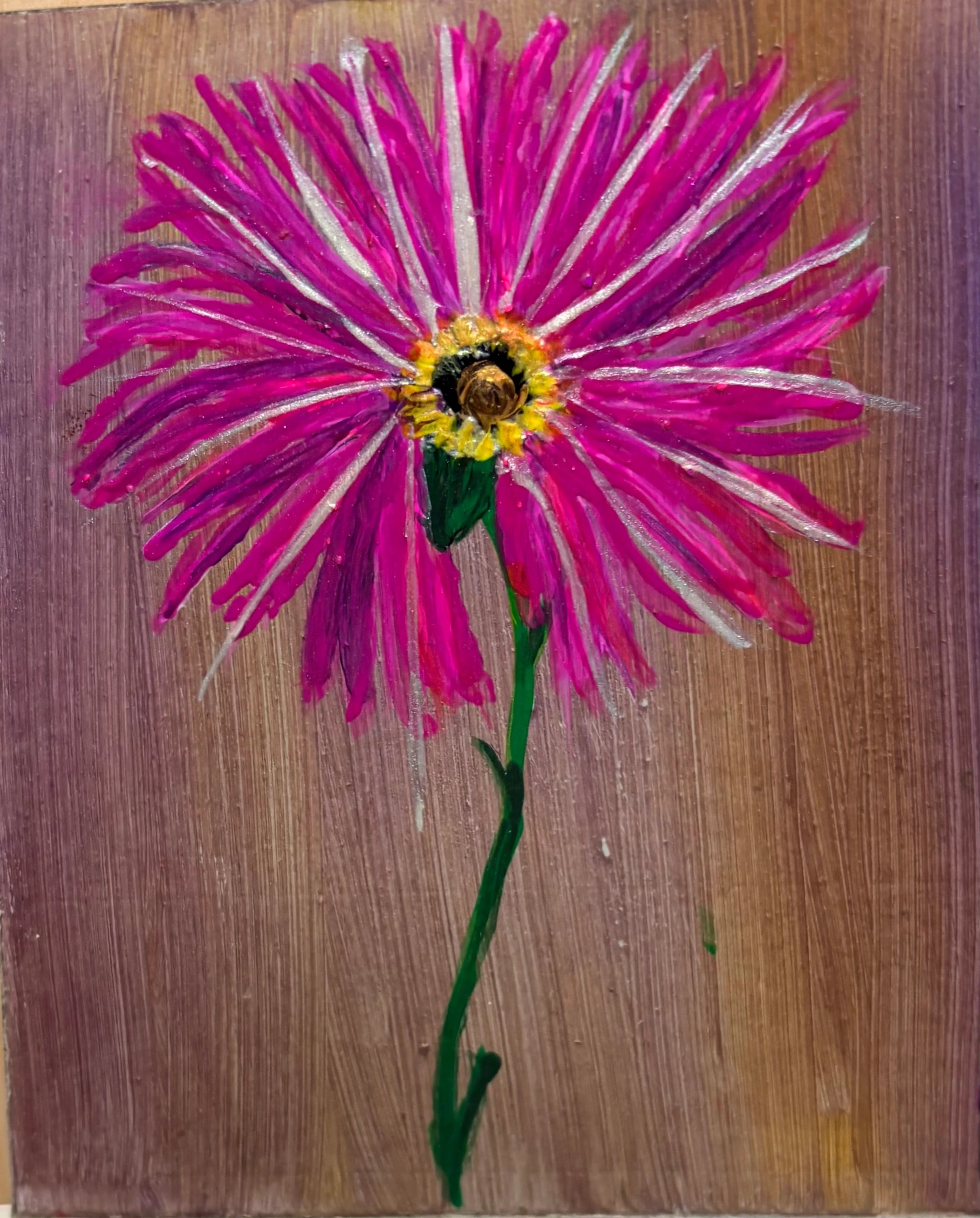 Magenta Daisy