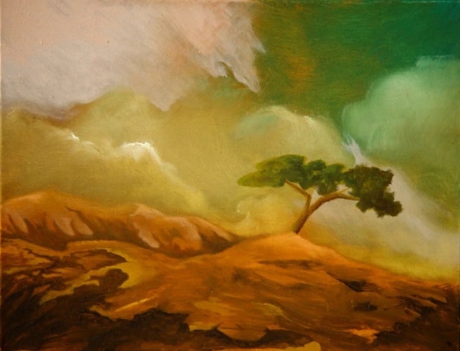 Tree on Ochre Hills