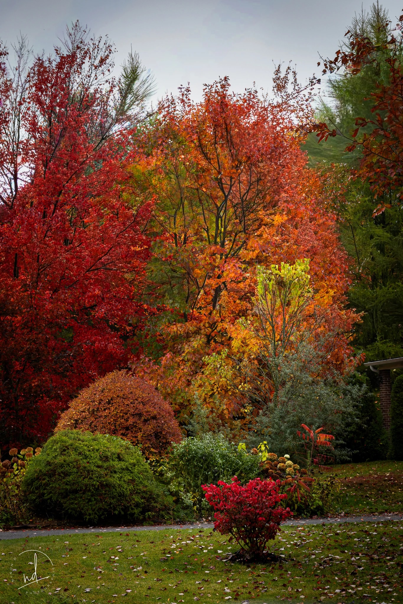 Autumn Garden Canopy