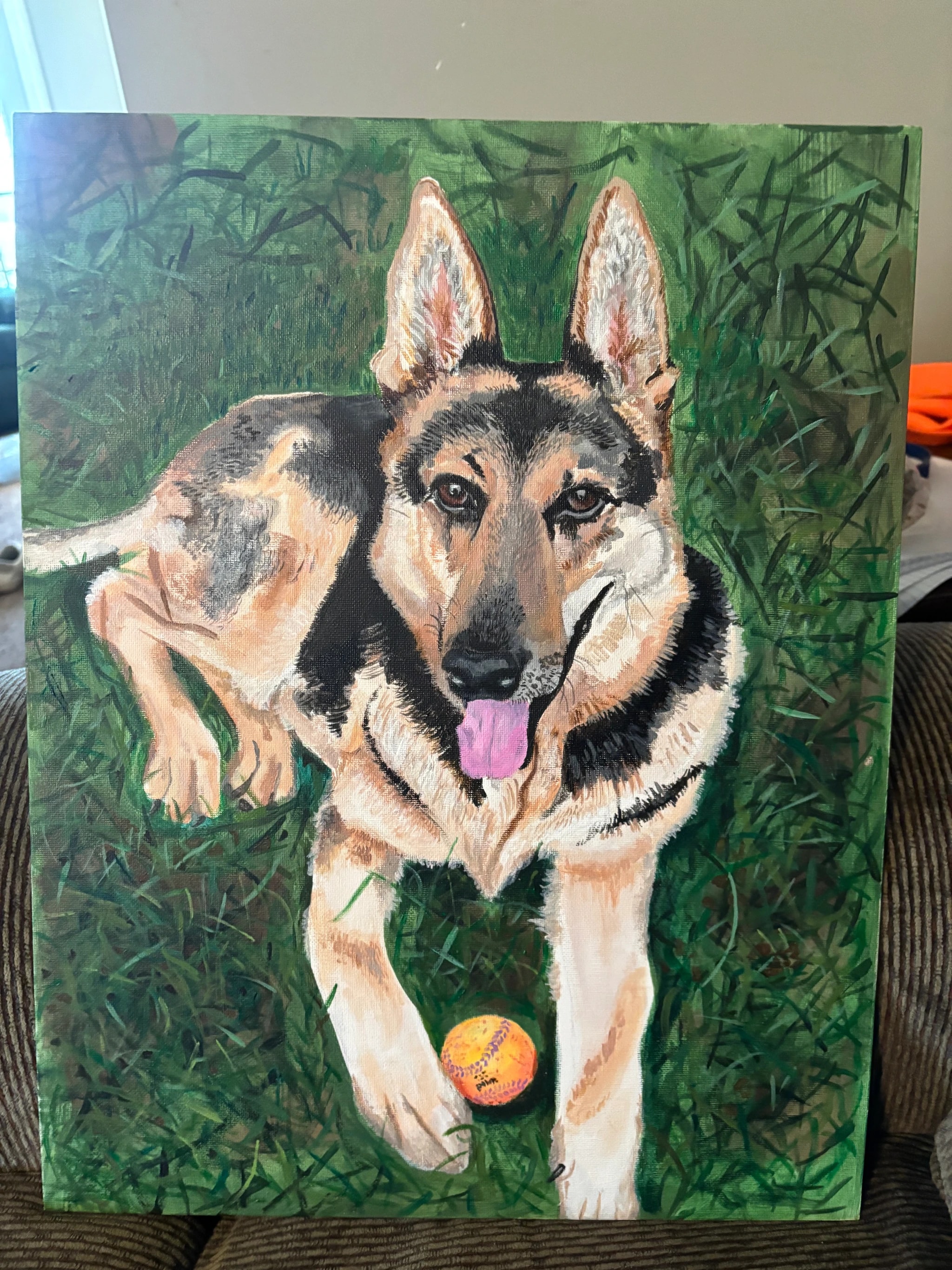 German Shepherd Playtime