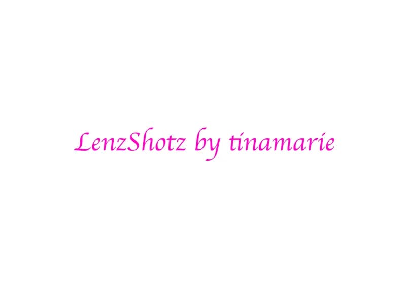 profile.resume-sections.gallery-logo-alt