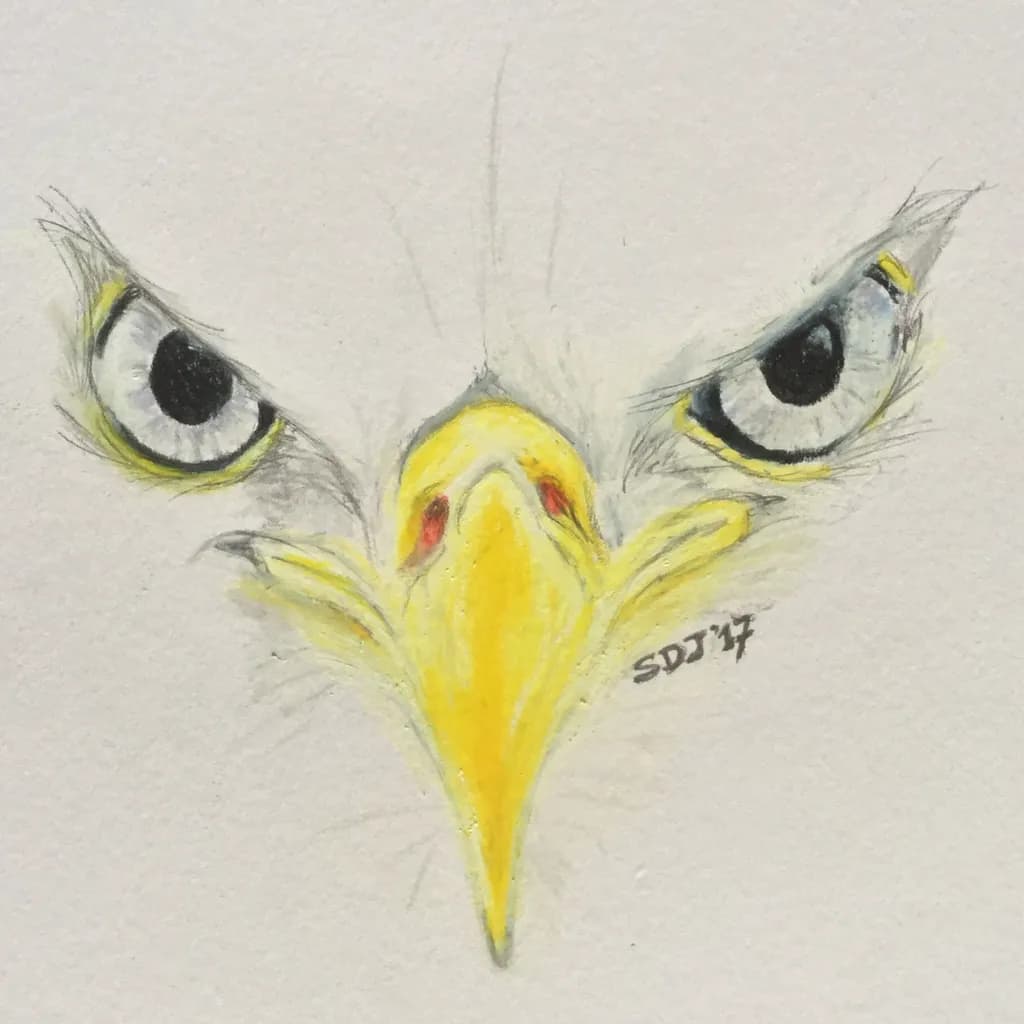 Eagle Gaze