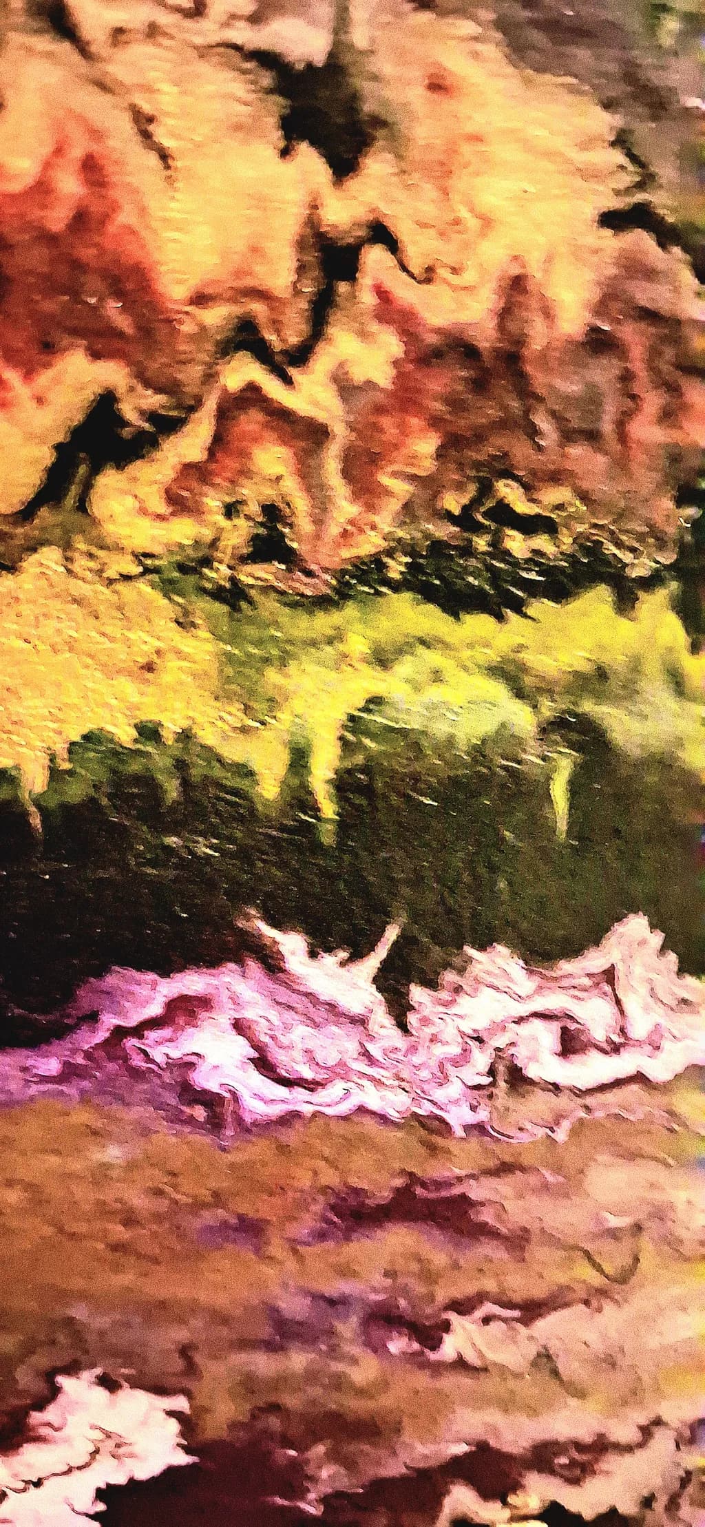 Painted Tidal Strata