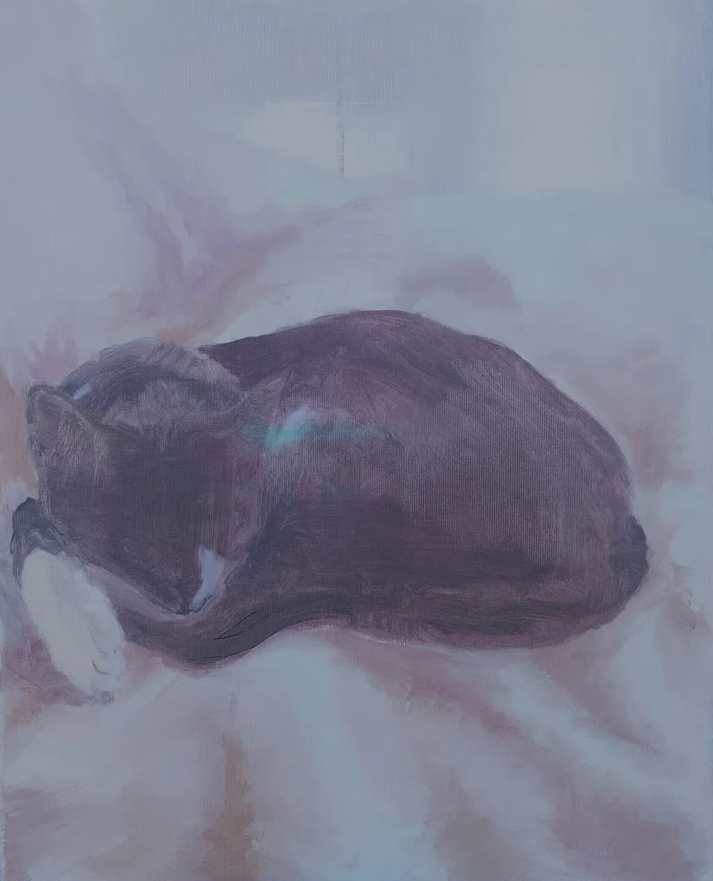 Resting Cat