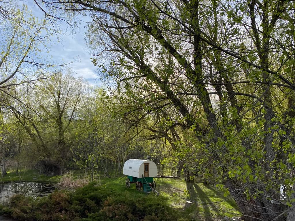 Wagon Beneath the Trees