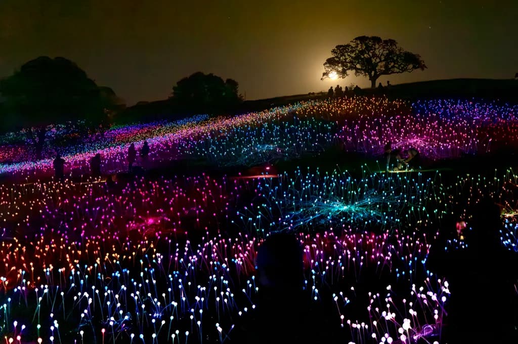 Whispers of Light: A Nighttime Symphony in Colorful Bloom