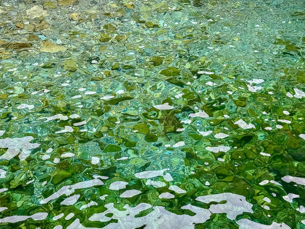 Whispers of the Water: A Dance of Green Reflections
