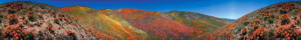 Wildflower Hills Panorama