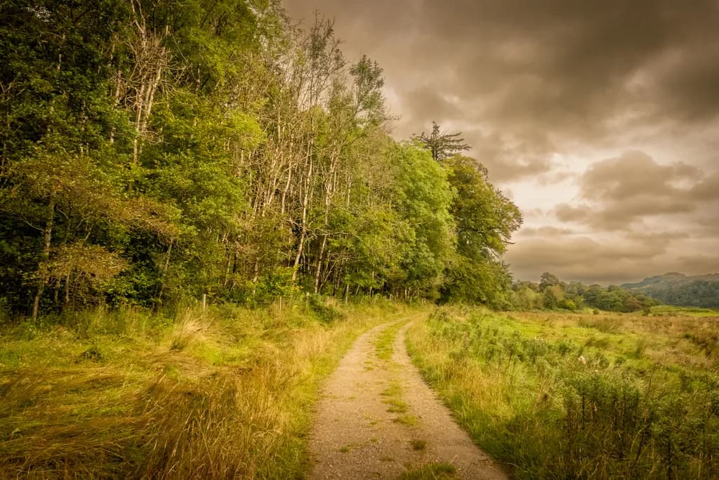 Whispering Path