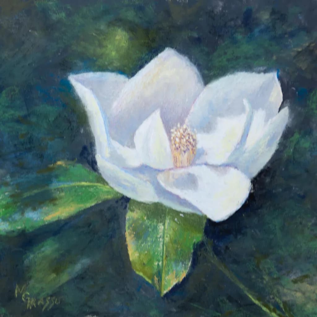 A Whisper of Magnolia