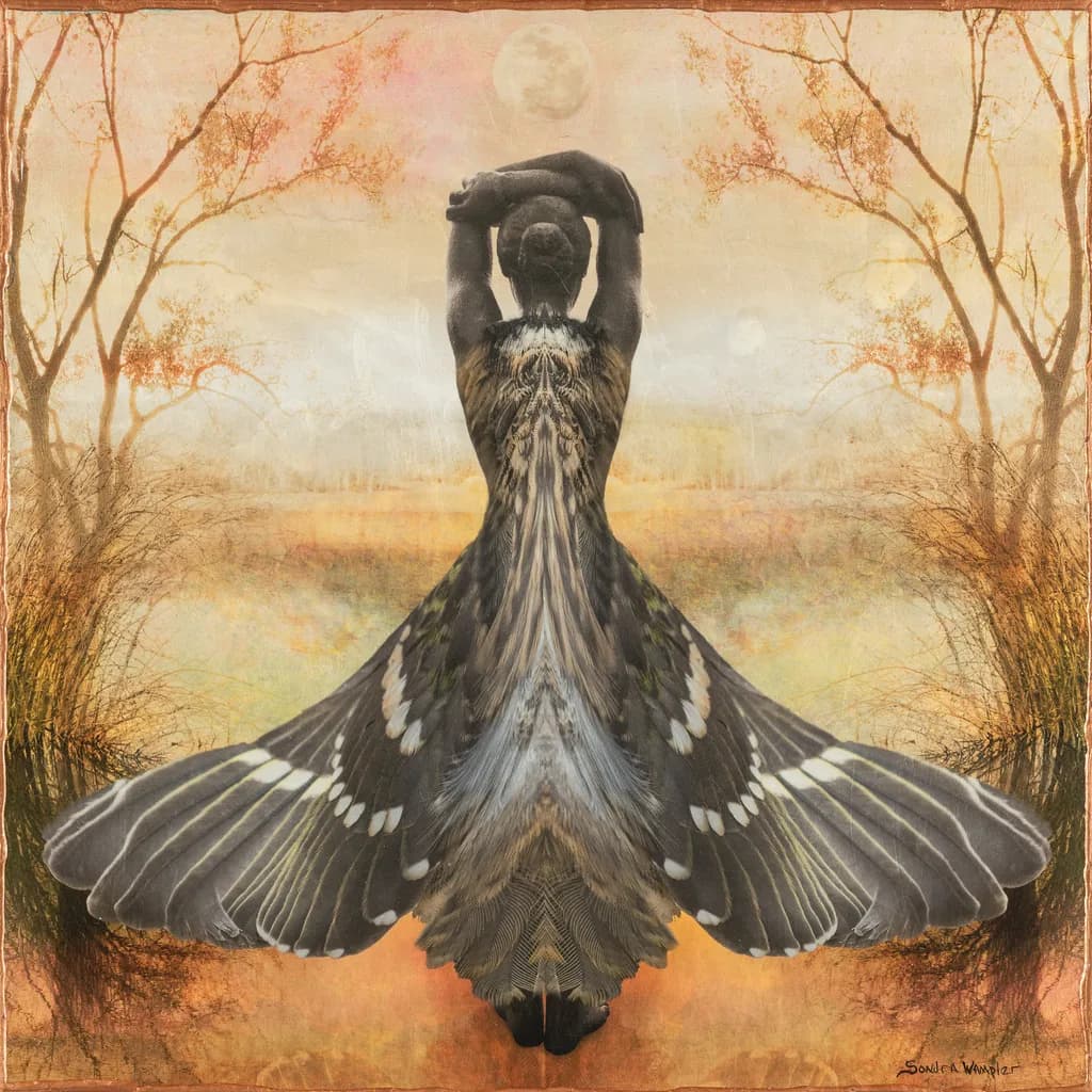 Feathered Embrace