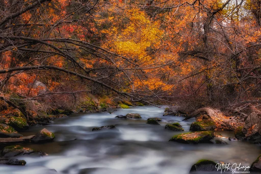 Under Colors Stream