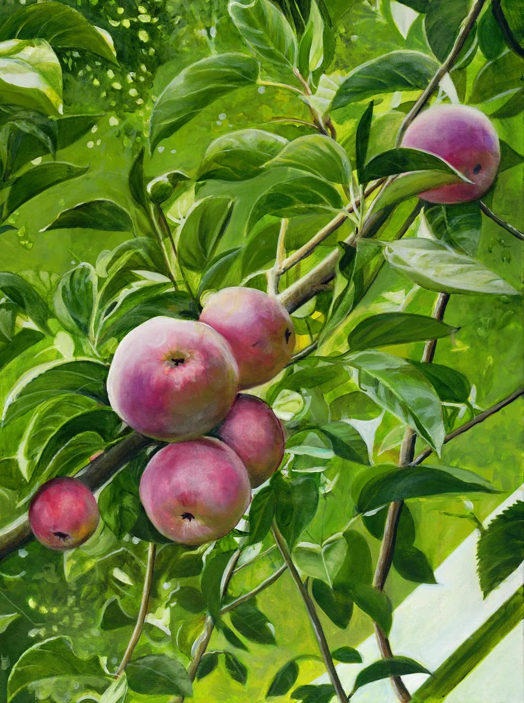Apple Branch