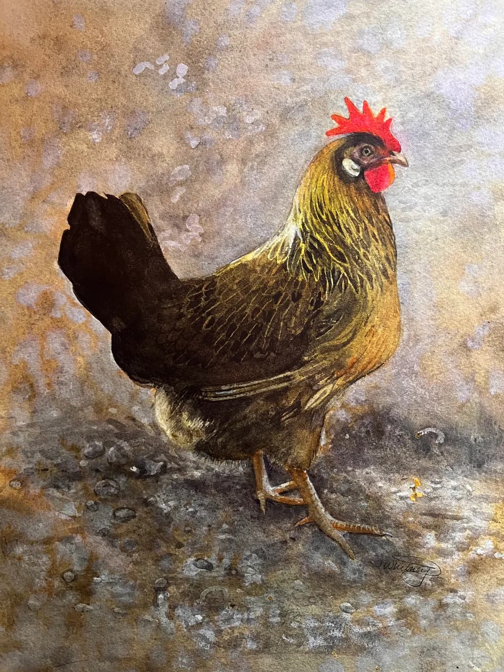 Golden Hen Study