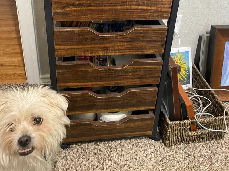 A tall set of drawers hold all the stuff-- tapes, pens and pencils, stickers, business cards, tools and cutters... and a small basket on the floor holds any temporary art safely. The dog is essential to keeping squirrels and suspicious characters out of my studio while I'm working.
