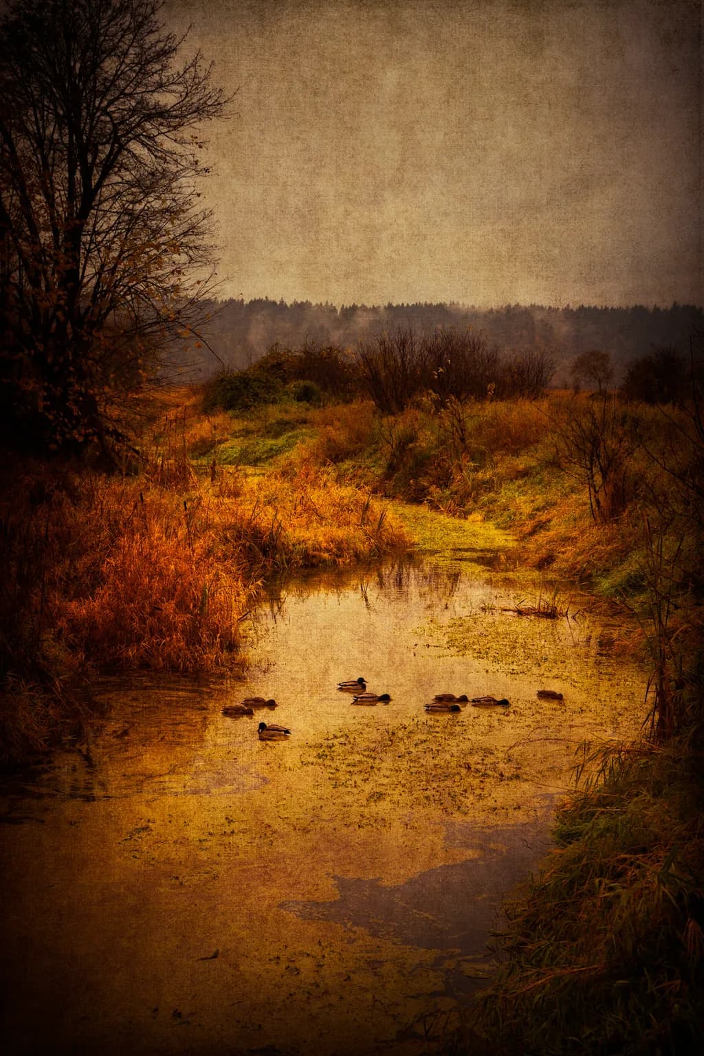 Autumn River Refuge