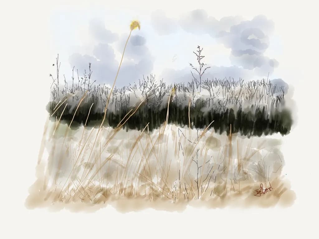 Winter Grasses