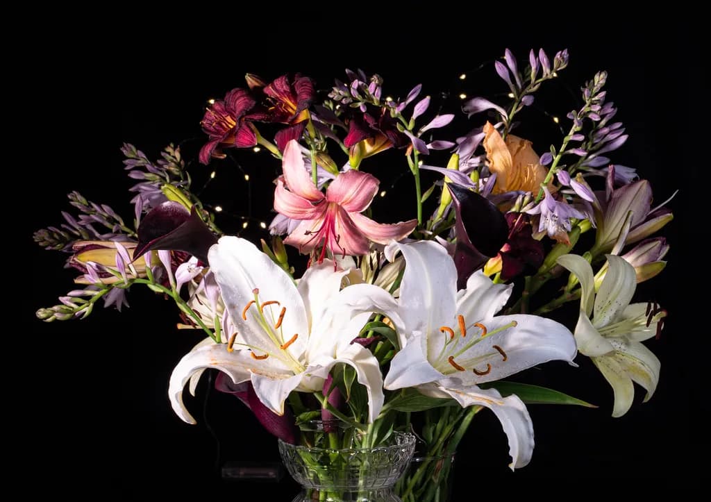 Lilies Galore