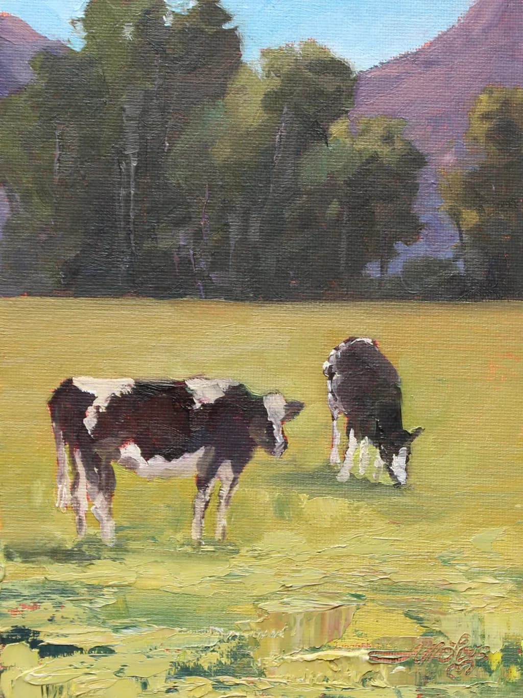 Black and White Grazers