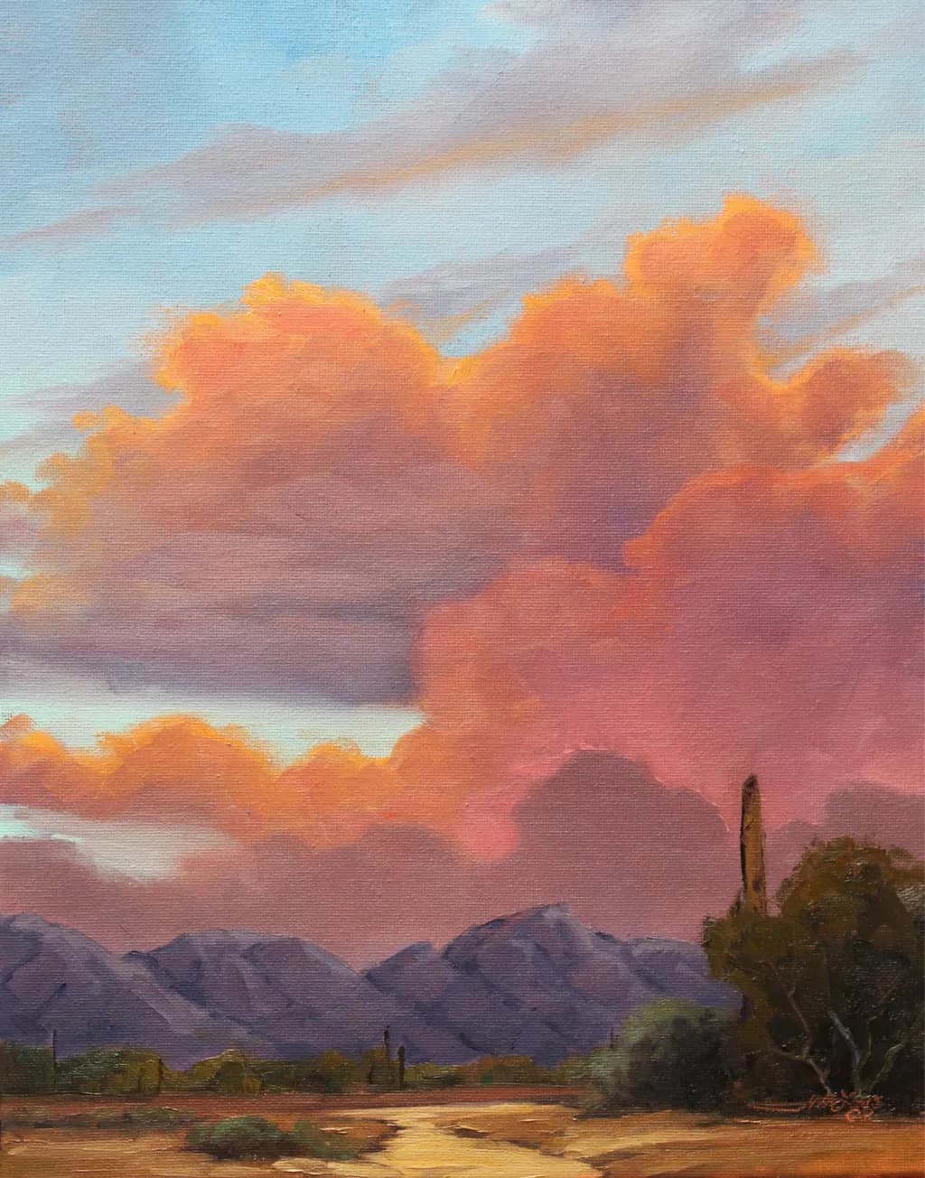 A Moment Between Day and Night